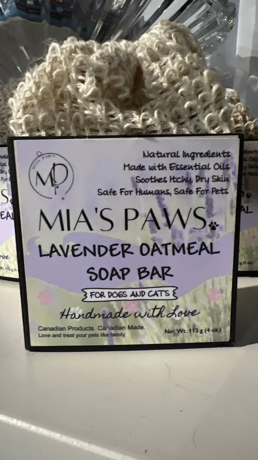 Krazy Kitty Catnip Spray – Mia's Paws